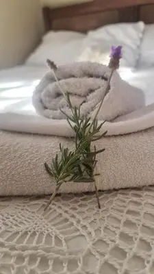 a flower sitting on top of a bed with towels at Sunbird room in Cape Town