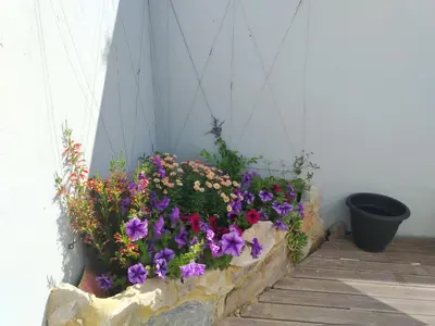 a flower box with purple flowers on a porch at Columbus Whales in Hermanus