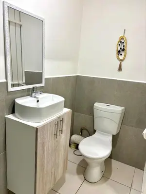 a bathroom with a white toilet and a sink at Private Flatlet B in Goodwood