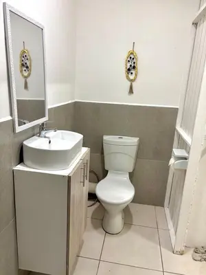 a bathroom with a toilet and a sink and a mirror at Private Flatlet B in Goodwood