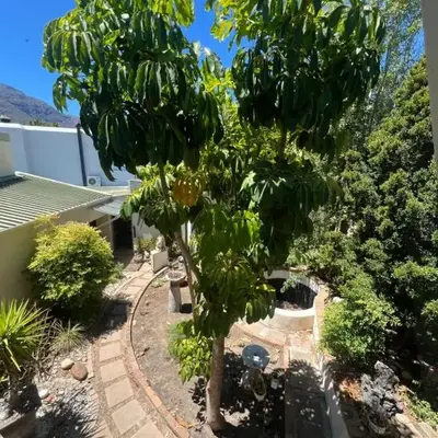 Spacious Self-Catering Apartment with Private Entrance in Peaceful Paradyskloof