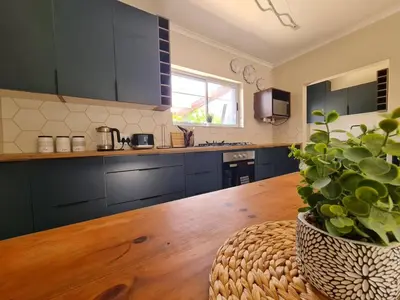 a kitchen with blue cabinets and a potted plant at Kuku House in Cape Town