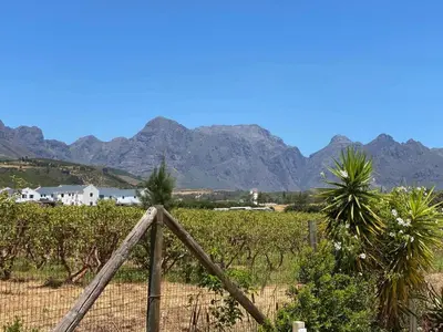 a fence in a vineyard with mountains in the background at Magents Farm Guesthouse in Paarl