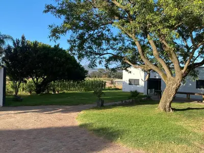 a tree in the grass next to a building at Magents Farm Guesthouse in Paarl