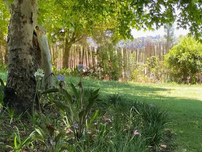 a tree in a field with flowers next to a tree at Magents Farm Guesthouse in Paarl