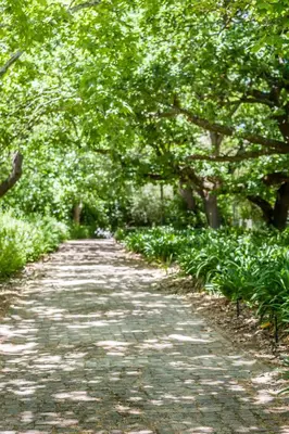a path in a park with trees and plants at Natte Valleij in Klapmuts