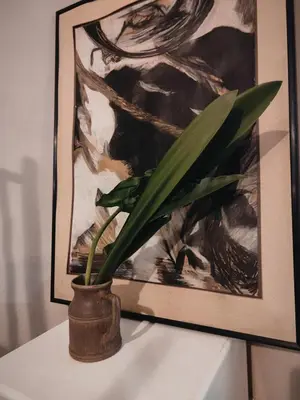 a plant in a pot on a table with a picture at The Palm's on Pastorie in Pniel