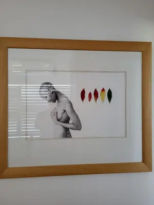 a picture of a naked man in a picture frame at Garden Pool Manor House in Kuilsrivier
