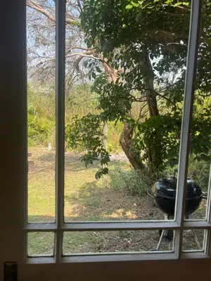 an open window with a view of a tree at Waterberry Hideaway in Pringle Bay