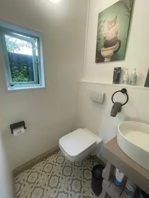 a bathroom with a white toilet and a sink at Waterberry Hideaway in Pringle Bay