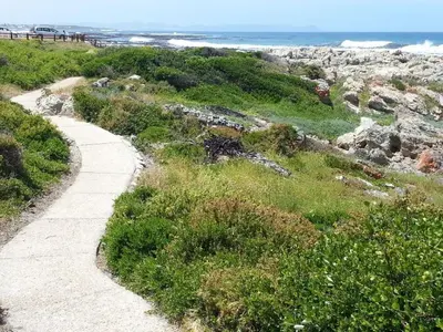 a path on the beach with the ocean in the background at Torbrae Cottage in Hermanus