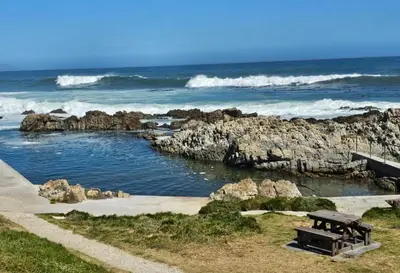 a bench sitting next to the ocean with rocks at Torbrae Cottage in Hermanus
