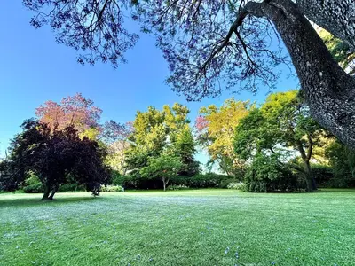 a green field with trees in the background at Die Jonkmanshuis in Stellenbosch