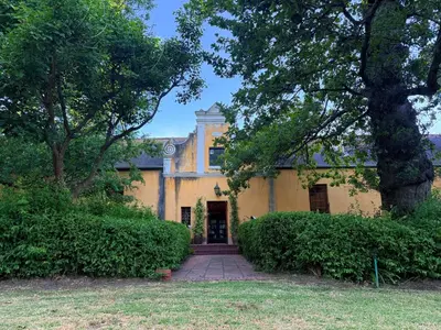 a large yellow house with a tree in front of it at Die Jonkmanshuis in Stellenbosch