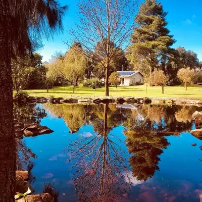 Swannie Creek