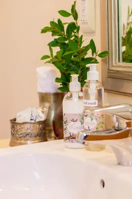 a sink with two bottles of soap and a plant at 5 Seasons Guest House in Stellenbosch
