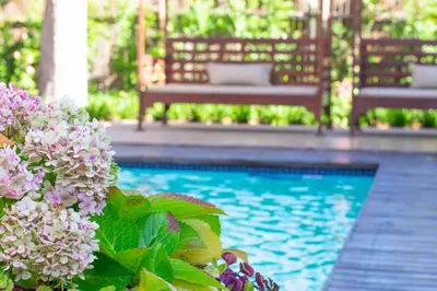 a swimming pool with two benches and purple flowers at 5 Seasons Guest House in Stellenbosch