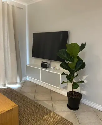 a living room with a tv and a potted plant at 3B Sandy Bay in Cape Town