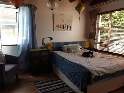 a black cat laying on a bed in a bedroom at Cozy family home in Cape Town