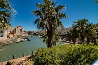 a view of a river with palm trees and boats at Sunny Apartment Harbour Island in Gordonʼs Bay
