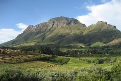 a mountain in front of a green field with trees at Majestic Mountain views in the Cape Town Winelands in Stellenbosch