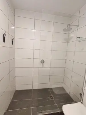a bathroom with a shower with a toilet at Majestic Mountain views in the Cape Town Winelands in Stellenbosch