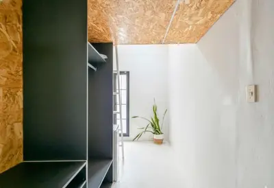 a room with a green wall and a plant at Modern Boho Loft- Observatory in Cape Town
