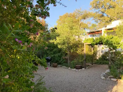 a garden with trees and a house in the background at Eensgevonden Vineyard Cottages in Rawsonville