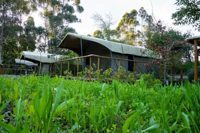 a building with a tent in a field of grass at The Lineage Lodge in Elgin