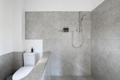 a bathroom with a shower with a toilet and a sink at The Little Vineyard Cottage in Franschhoek