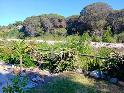 a garden with a bamboo fence and plants at Providence in Hermanus