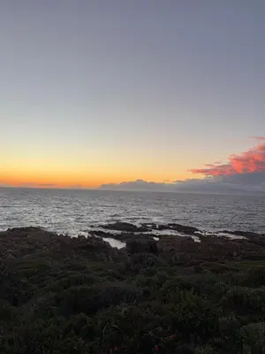 a sunset over the ocean with rocks and trees at Providence in Hermanus