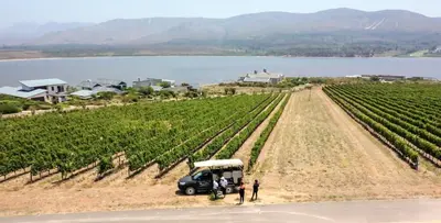 a group of people standing next to a truck in a vineyard at Swallows Rest - Benguela Cove in Hermanus