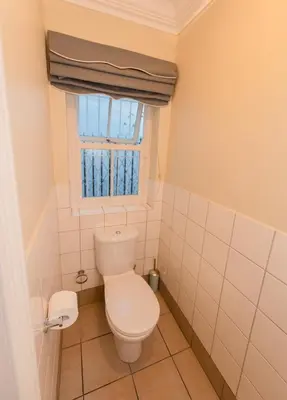 a bathroom with a toilet and a window at Charming Historic Home in Central Stellenbosch in Stellenbosch