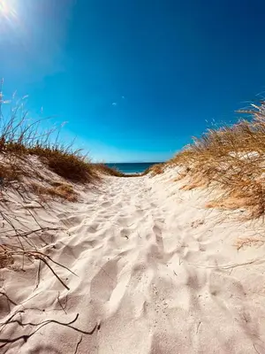 a dirt road leading to the ocean on a beach at Cape Holly Beach House in Pringle Bay
