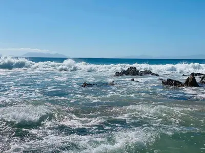 a group of people swimming in the ocean at Cape Holly Beach House in Pringle Bay