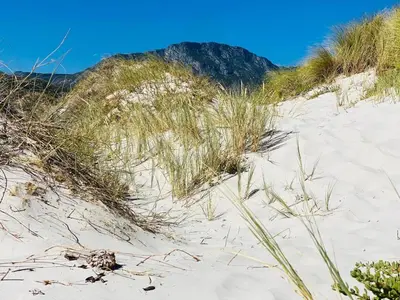 a sandy beach with grass and weeds in front of a mountain at Fynbossie in Pringle Bay