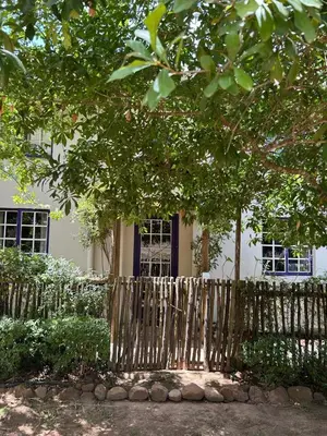 a fence in front of a house with a tree at The Little Thatch Cottage in Greyton