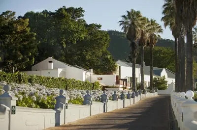 a white fence with flowers and palm trees at The Coach House at Val du Charron in Wellington