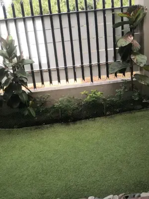 a fence with green grass and a plant next to it at Duplex in Tableview in Cape Town