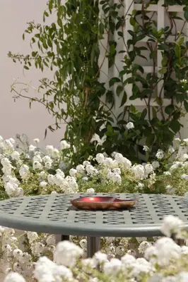 a plate sitting on a table in front of flowers at Majeka House Boutique Hotel by The Living Journey Collection in Stellenbosch