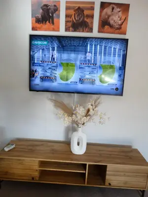 a television on a wall with a vase on a wooden table at African Oasis Zambia in Somerset West
