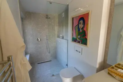 a bathroom with a shower and a painting on the wall at Pringle Bay Beach Cottage in Pringle Bay