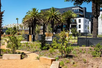 a garden with palm trees in front of a building at Palmcrest Eden in Cape Town