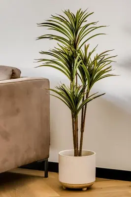 a plant in a white pot next to a couch at Palmcrest Eden in Cape Town
