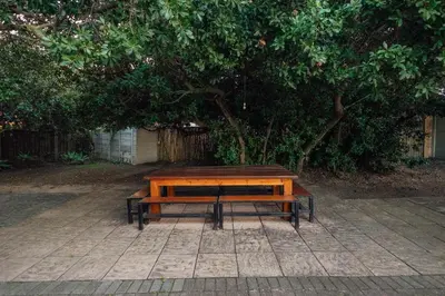 a wooden bench sitting in front of a tree at Seabreeze in Hermanus