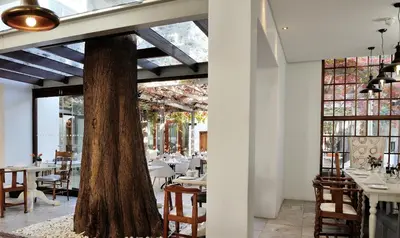 a restaurant with a tree in the middle of the room at Oude Werf Hotel in Stellenbosch