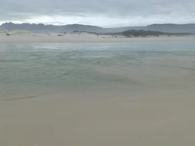 a view of a beach with mountains in the distance at Log Cabin- Forest, Lagoon Sea location in Hermanus