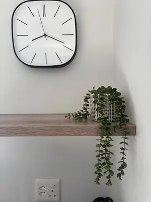 a black and white clock on a wall with a plant at 37A Modern Apartment quiet suburb mountain views in Stellenbosch