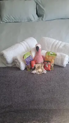 a group of toys on a bed with a towel at The Pink Flamingo Self Catering Accommodation in Cape Town
